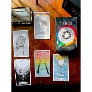 The Wild Unknown Tarot Deck and Guidebook